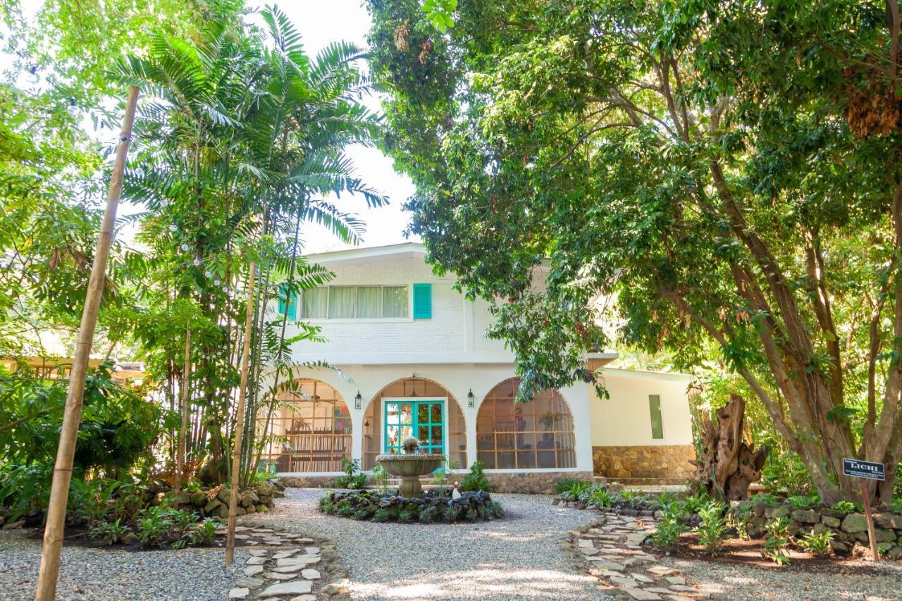 Angeli Gardens Boutique Hotel 산페드로술라 외부 사진